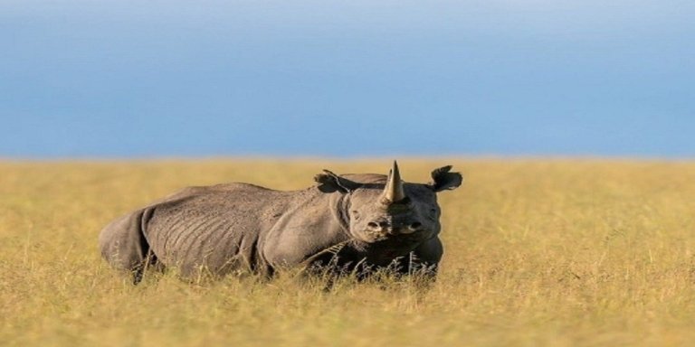 Tanzania's Hidden Gems: Arusha, Tarangire & Ngorongoro Safari