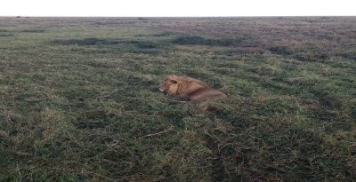 Tanzania's Hidden Gems: Arusha, Tarangire & Ngorongoro Safari