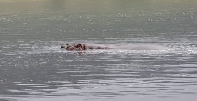 Tanzania's Big 3 Safari: Manyara, Tarangire & Ngorongoro