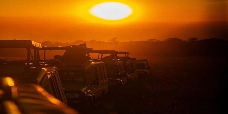 Tanzania's Big 3 Safari: Manyara, Tarangire & Ngorongoro