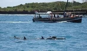 Wasini Island Boat Trip with Seafood Lunch Wasini Island Boat Trip with Seafood Lunch