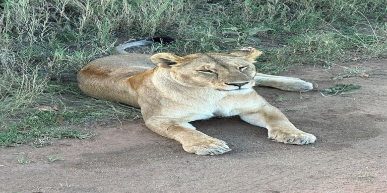 Tanzania Wildlife & Waterfalls Adventure: Tarangire to Ngorongoro