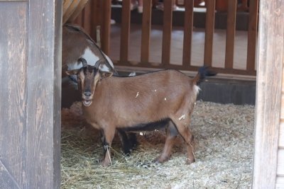 Full Day Kids Entertainment Tour In Baku