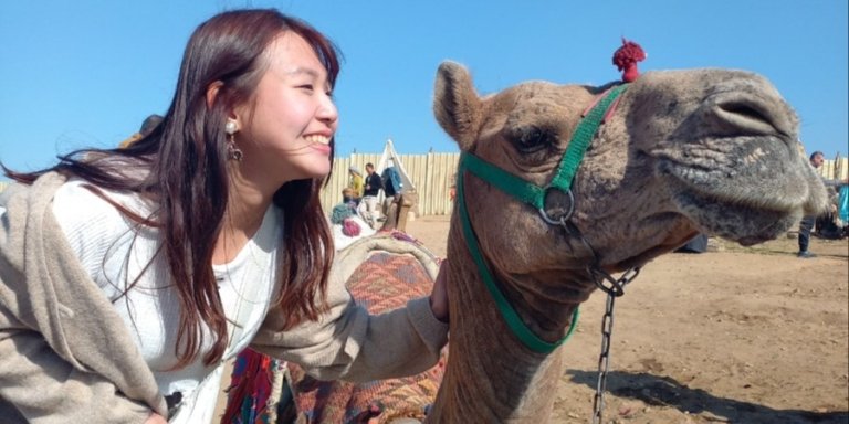 Giza Pyramids Sphinx Sakkara and Dahshur with Camel ride