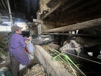 Dong Van- Meo Vac by easy rider + Hiking Hoang Su Phi, Ha Giang