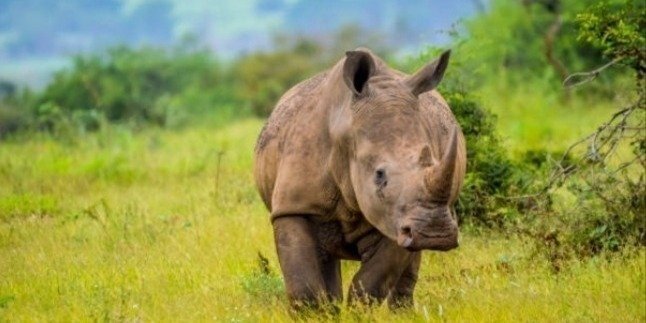 Best 5 days to Tarangire, Serengeti, Ngorongoro & Lake Manyara