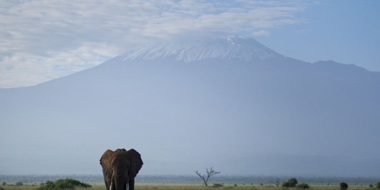 From Ocean Breeze to Safari Trails: 10 Days in Magical Kenya