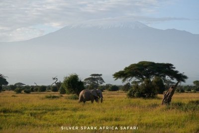 From Ocean Breeze to Safari Trails: 10 Days in Magical Kenya