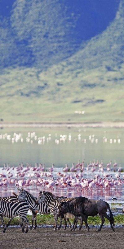 5 DAYS FLY-IN SAFARI FROM ZANZIBAR