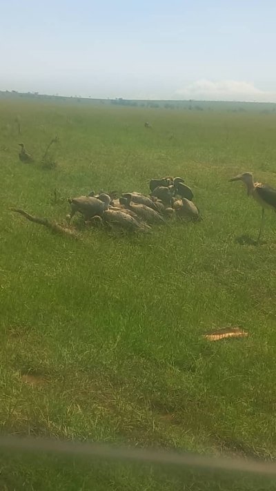 Day trip to ngorongoro crater