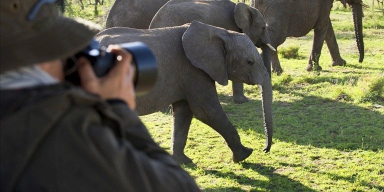 Day trip to tarangire national park