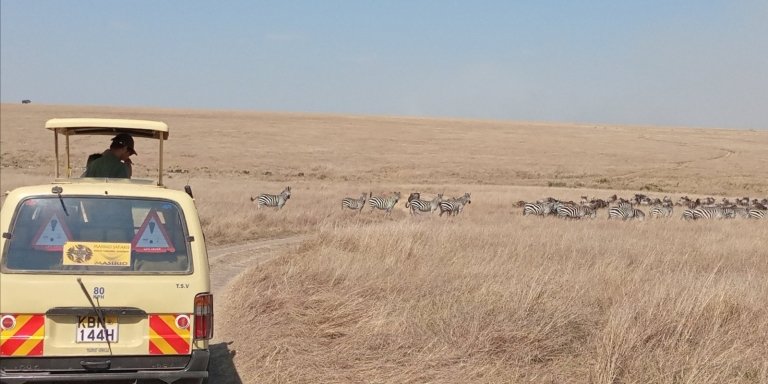 5-Day Lake Naivasha Lake Nakuru Masai Mara Budget Safari