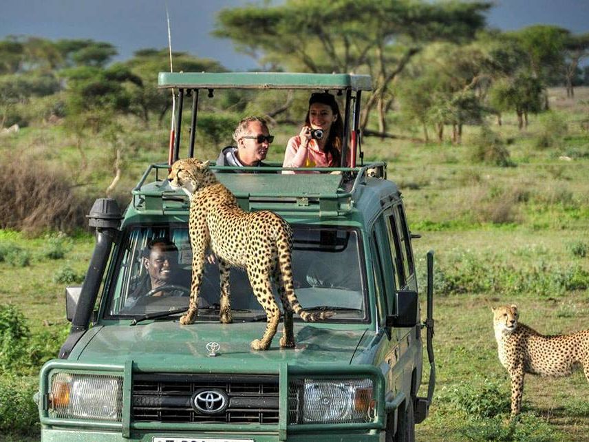 Best Africa Safari by Naicef