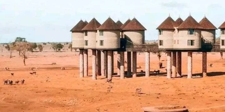 A Wildlife Adventure Across Tsavo & Amboseli: 4 Days of Discovery