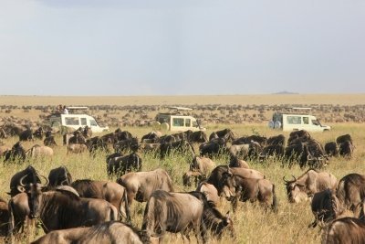 4-day safari from Zanzibar to Tarangire, Serengeti and Ngorongoro
