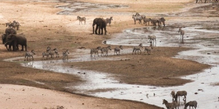 3 day safari from Zanzibar to Tarangire, Ngorongoro & Manyara