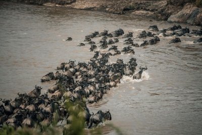 12 Day of Unforgettable Tanzania Honeymoon Experience