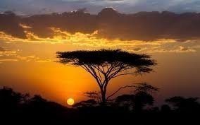2-day fly-in Serengeti safari from Zanzibar