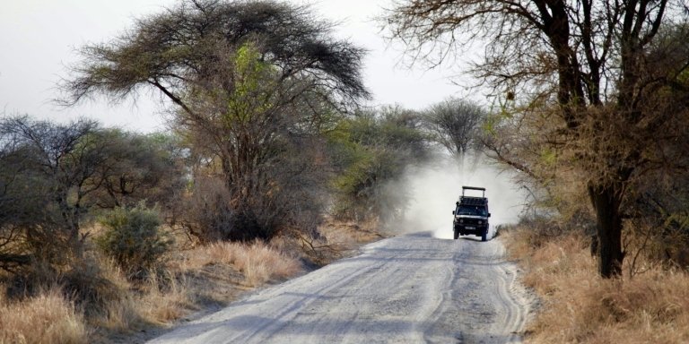 5 DAYS LAST-MINUTE SAFARI FROM ZANZIBAR