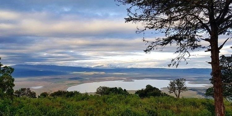 AFFORRDABLE 4-DAY JOIN-IN GROUP SAFARI FROM ZANZIBAR