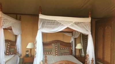 2 DAYS AMBOSELI WILDLIFE SAFARI.