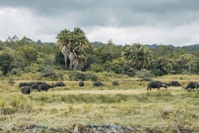 12 Day of Unforgettable Family Experience in Tanzania