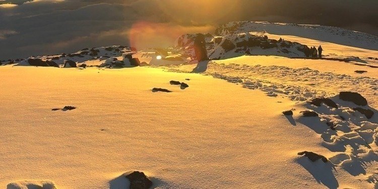 Lemosho Route 7 Days – Kilimanjaro Hike