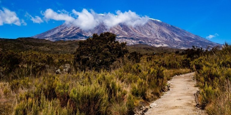 Rongai Route 6 Days – Kilimanjaro Hike