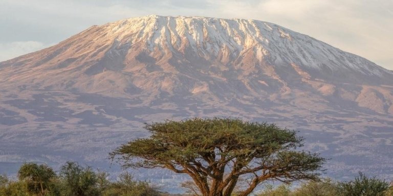 Northern Circuit Route with Crater Overnight 9 Days Hike