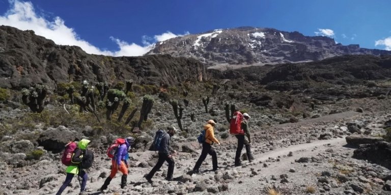 Lemosho Route 8 Days – Kilimanjaro Hike