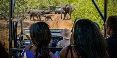 2 Day Chobe National Park Safari- Overnight at Chobe Safari Lodge