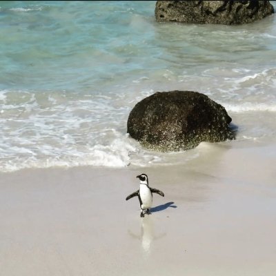 Cape Peninsula in Cape Town