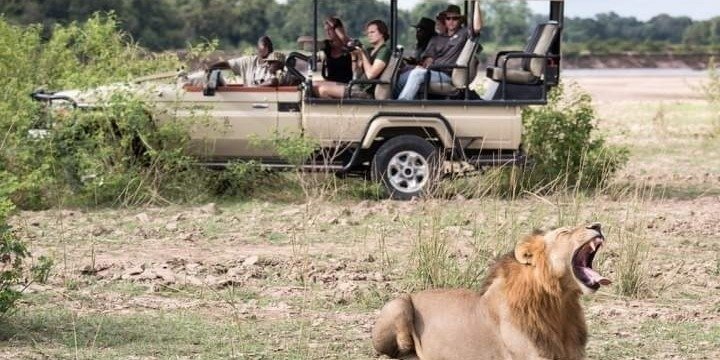 7-Day Classic Kenya Safari: Amboseli to Masai Mara Adventure