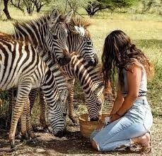 Day-Trip to Serval Wildlife