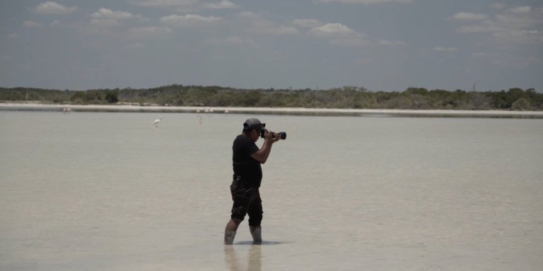 Rio Lagartos & Las Coloradas