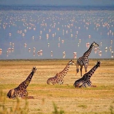 6 Days Kenya Safari Tour Itinerary