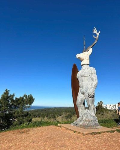 Nazaré: Portugal Giant Waves Surf Private Tour