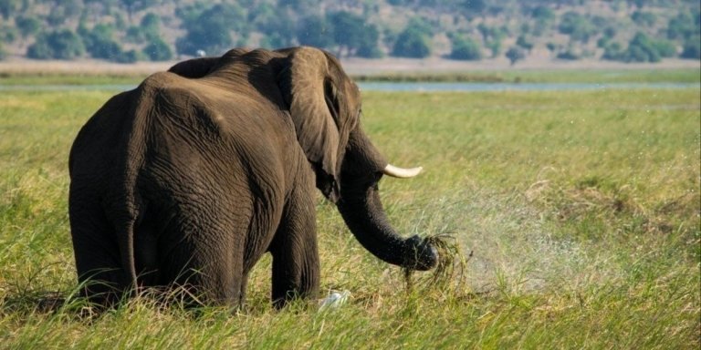 Southern Africa Explorer Kruger, Victoria Falls, Chobe, Cape Town