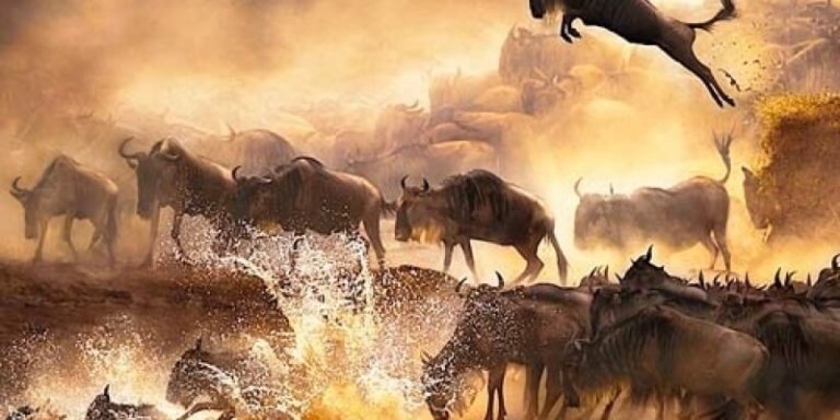 Masai Mara, Lake Nakuru, Amboseli, Tsavo West & East Safari