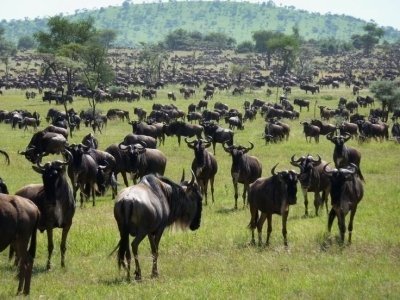 A Journey through Tanzania’s Untamed Soul