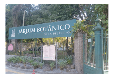 Botanical Garden of Rio de Janeiro