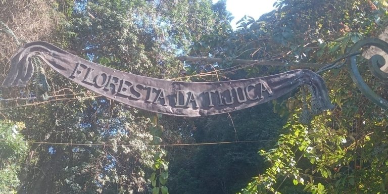 Tijuca Forest