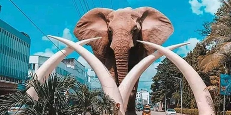 Mombasa: City Sightseeing Walking Tour with Tuk Tuk Ride.