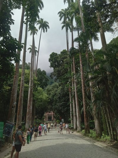 Trilha Cristo Redentor (Parque Lage - Corcovado)