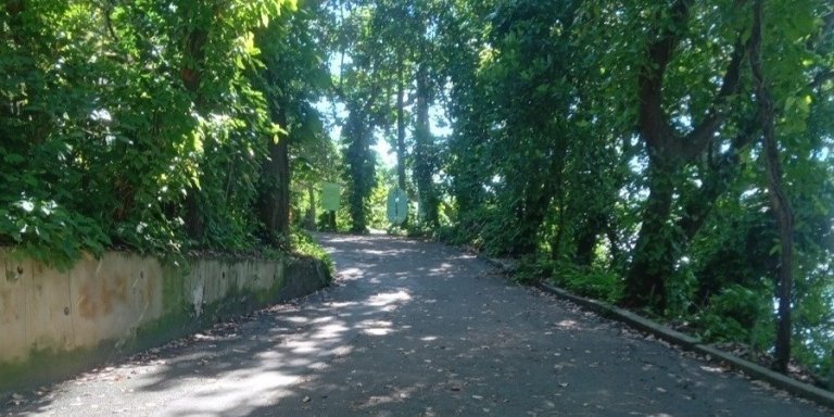 Trilha Morro da Urca - Sugarloaf Trail (Cláudio Coutinho)