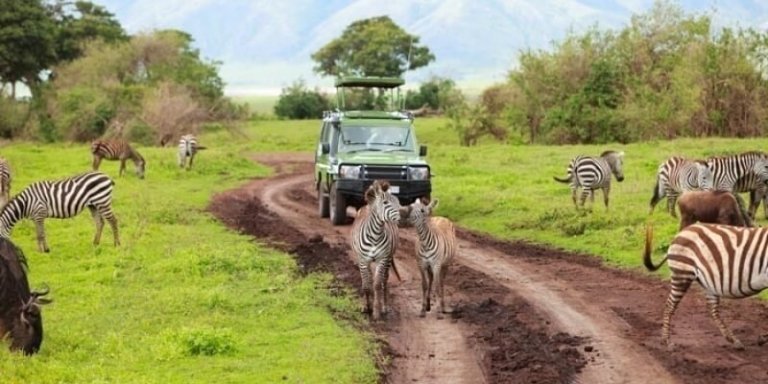 Tanzania Shared Safari Tarangire, Ngorongoro & Lake Manyara