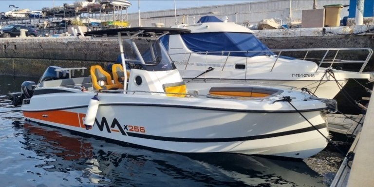 Boat Trip in the South of Tenerife (3 hours)