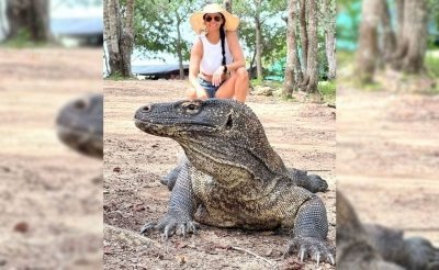 1Day Tour of Endemic Komodo Dragon, Snorkeling, Island Hoping