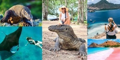 1Day Tour of Endemic Komodo Dragon, Snorkeling, Island Hoping