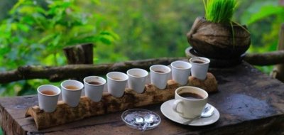 Bali Sunrise Jeep Mount Batur With Fotografer & Kintamani Cafe